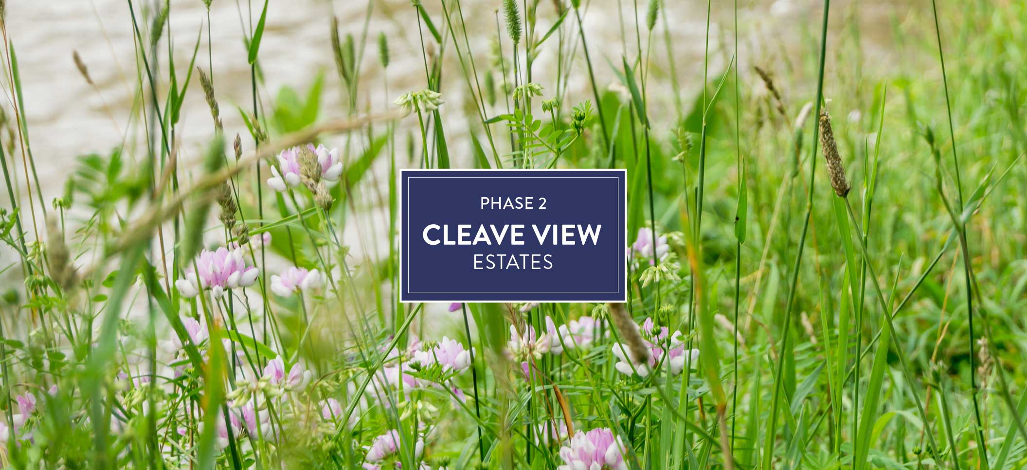 Phase 2 Cleave View Estate
